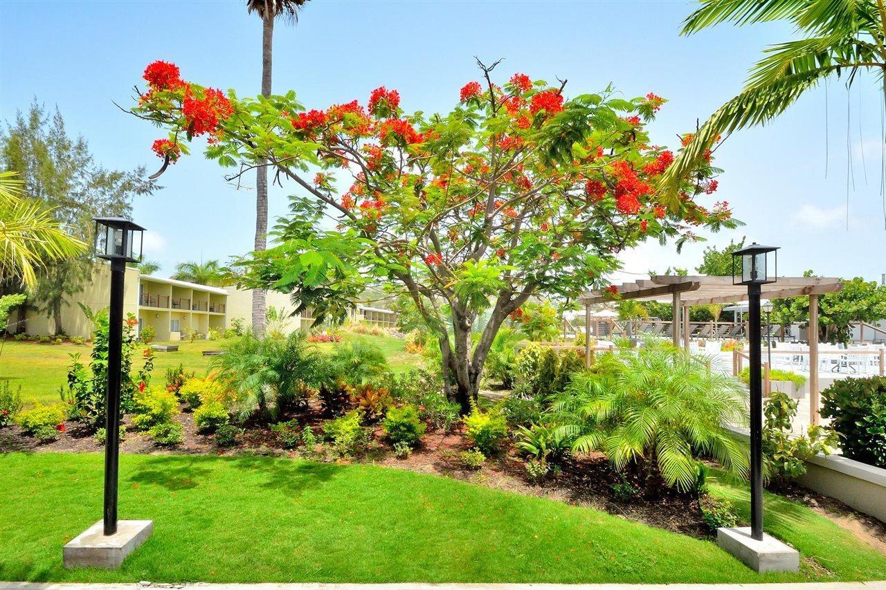 Frigate Bay Royal St. Kitts Hotel מראה חיצוני תמונה